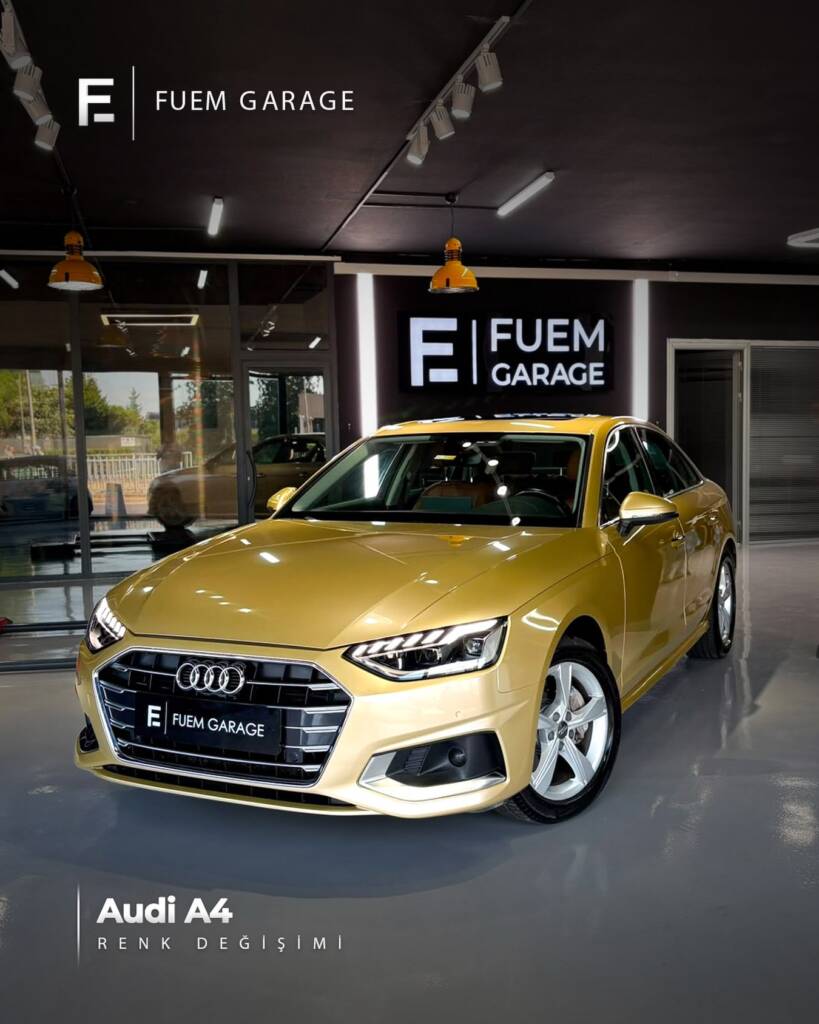 Audi XPEL PPF