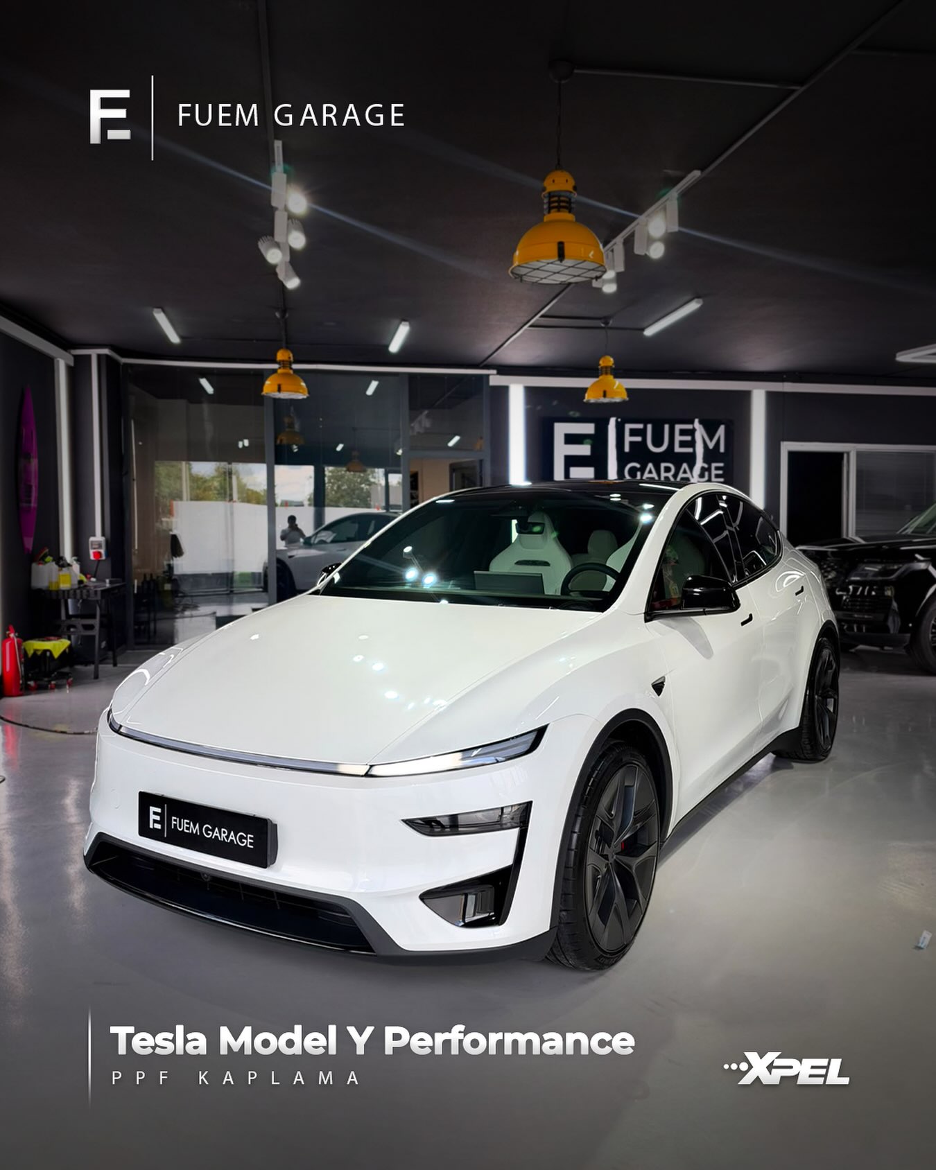 Tesla XPEL PPF